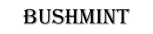 Bushmint logo
